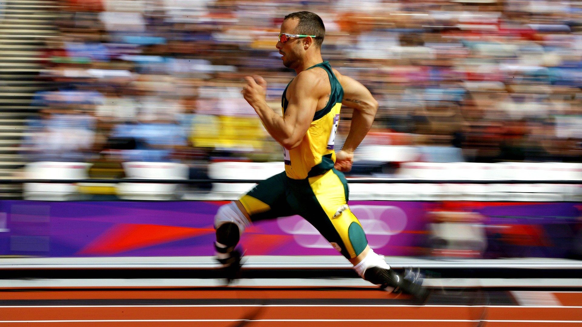 欧冠小组赛：凯尔特人1比4惨败皇马 看台“绿海一片”仍唱到终场